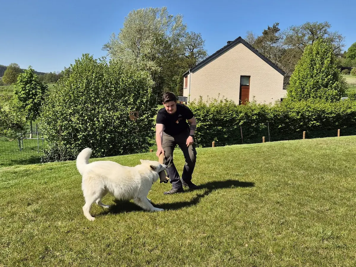 Romain en séance avec un chien