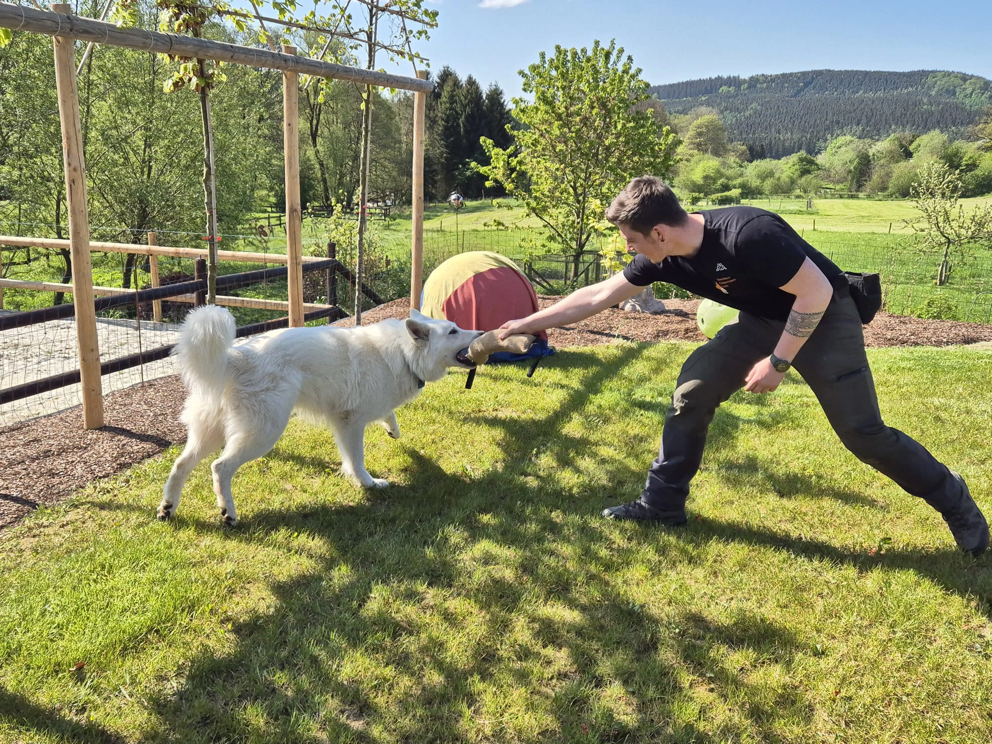 Romain Remacle avec un chien