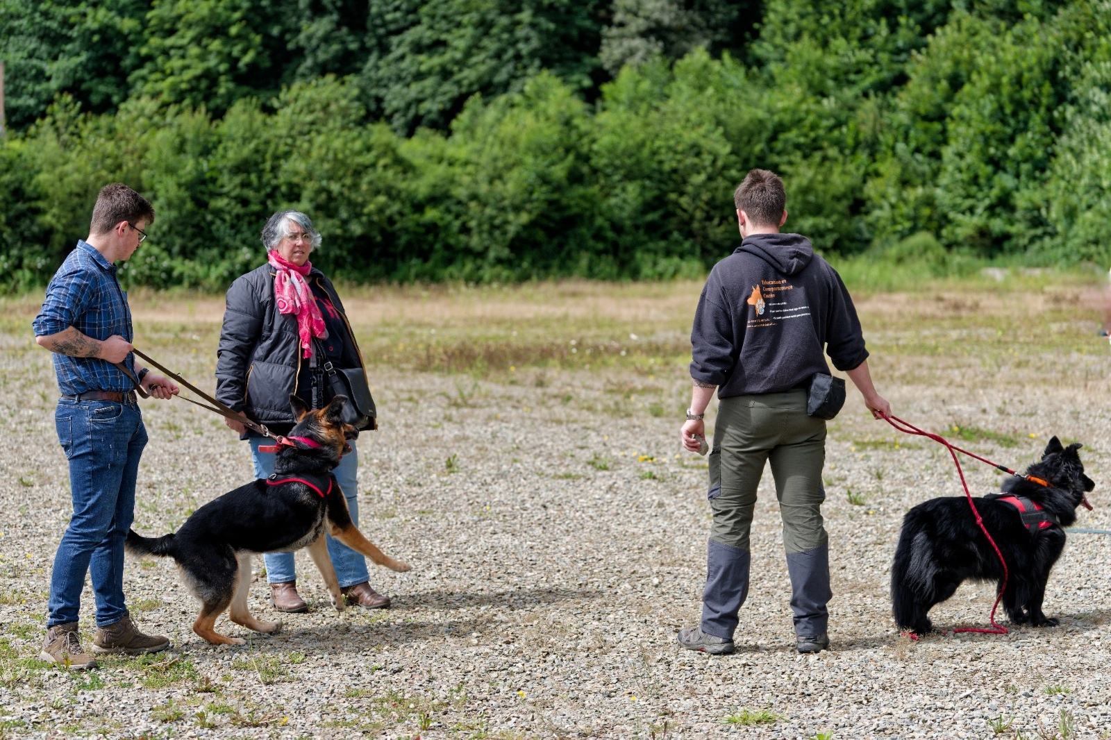 Photo : vision long terme (placeholder)